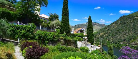 A hillside property with a cobblestone path, lush greenery, and a view of a river.