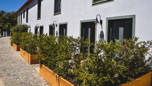 A row of white buildings with green window frames and wooden planters with green shrubs.