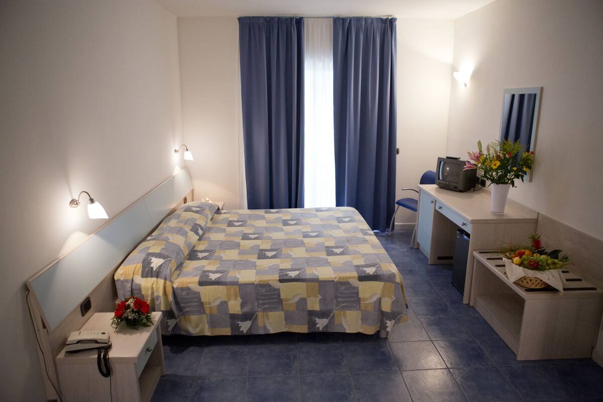 Une chambre d’hôtel avec un lit, un bureau, une chaise, une télévision et un vase avec des fleurs.