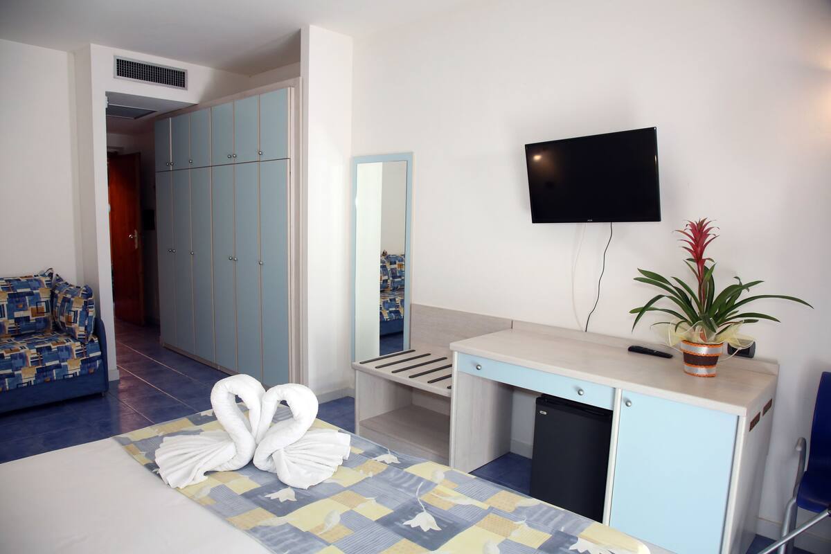 Une chambre d’hôtel avec un lit, un bureau, une télévision, une armoire et une plante en pot.