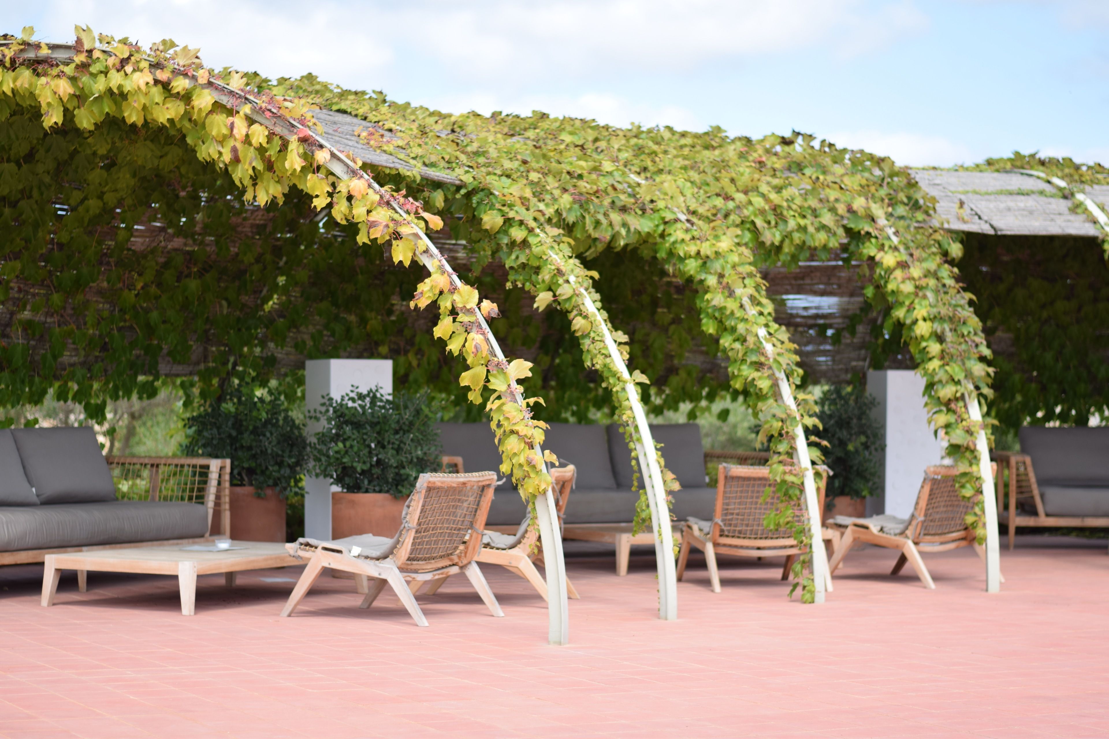 Un espace extérieur abrité, doté de sièges confortables et d’une pergola recouverte de plantes grimpantes.