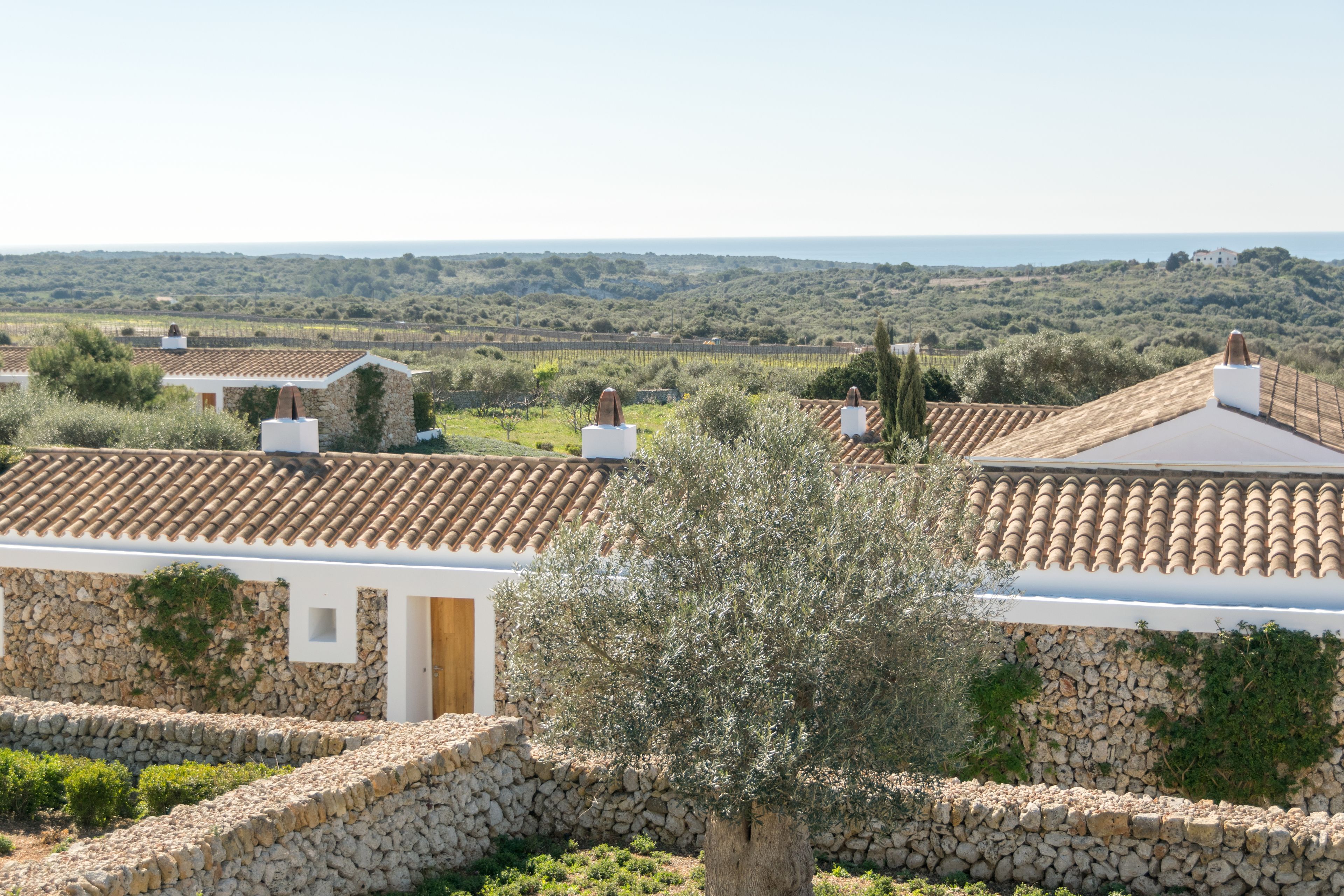 A rural landscape with stone-walled buildings, olive trees, and a view of the sea.