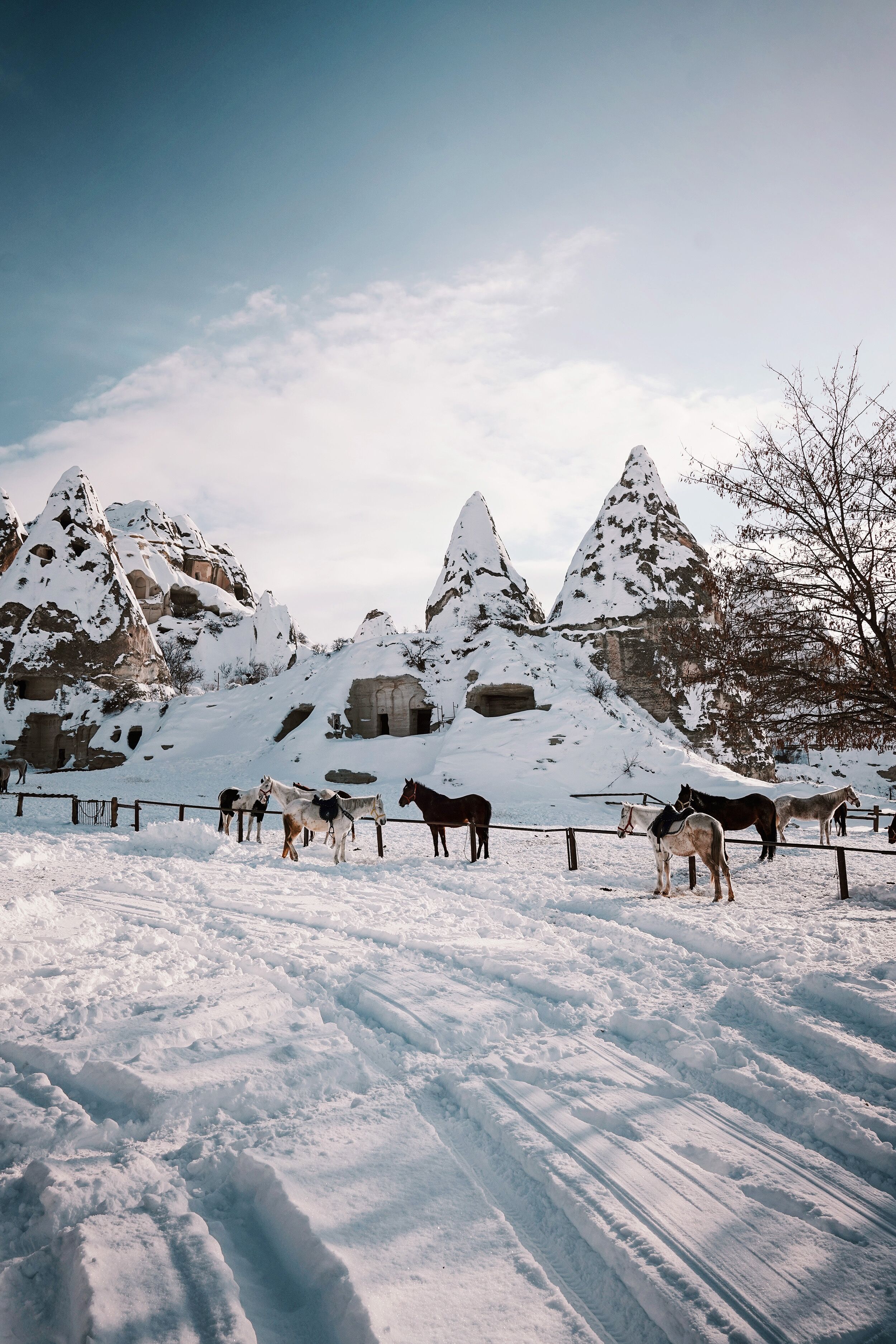 Photo - Heybe Hotel & Spa