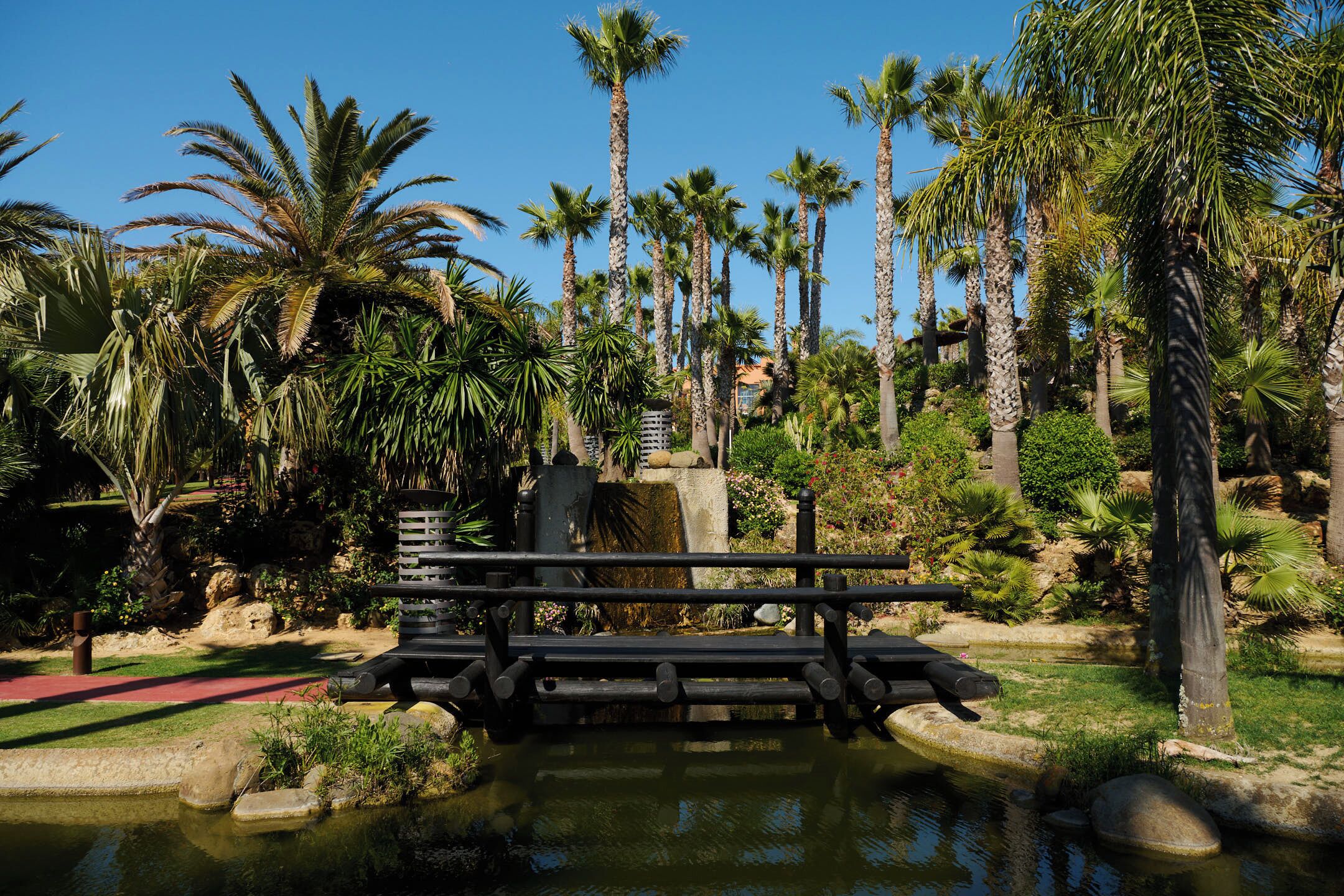 A bridge over a small pond with palm trees and greenery around.