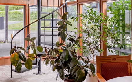 A spiral staircase with a view of the outside. There are potted plants and a wooden chair in the room.