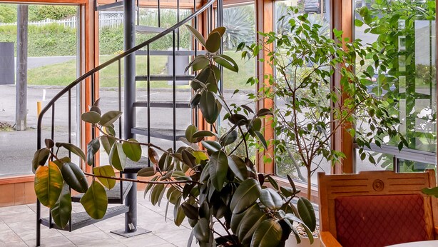 A spiral staircase with a view of the outside. There are potted plants and a wooden chair in the room. - Jot's Resort (Gold Beach)