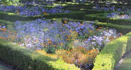 Amsterdam Hostel Annemarie