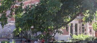 Amsterdam Hostel Annemarie