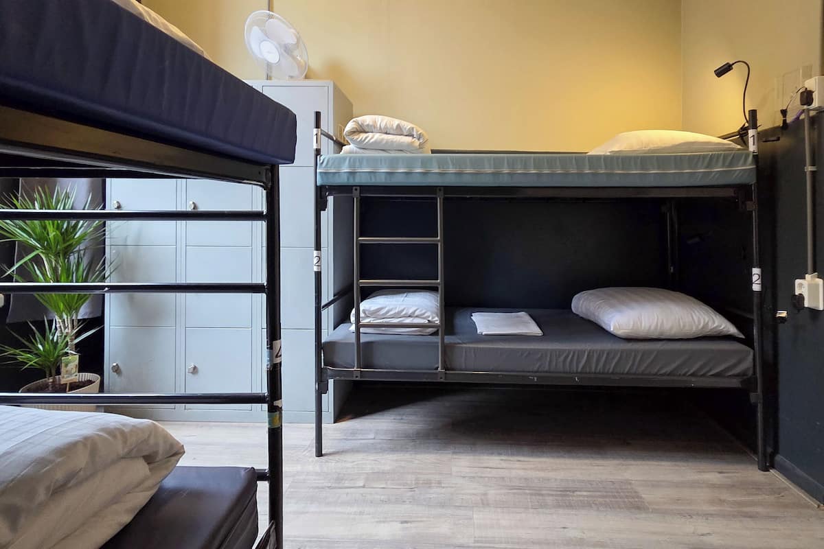 Ropa de cama hipoalergénica, wifi gratis y ropa de cama