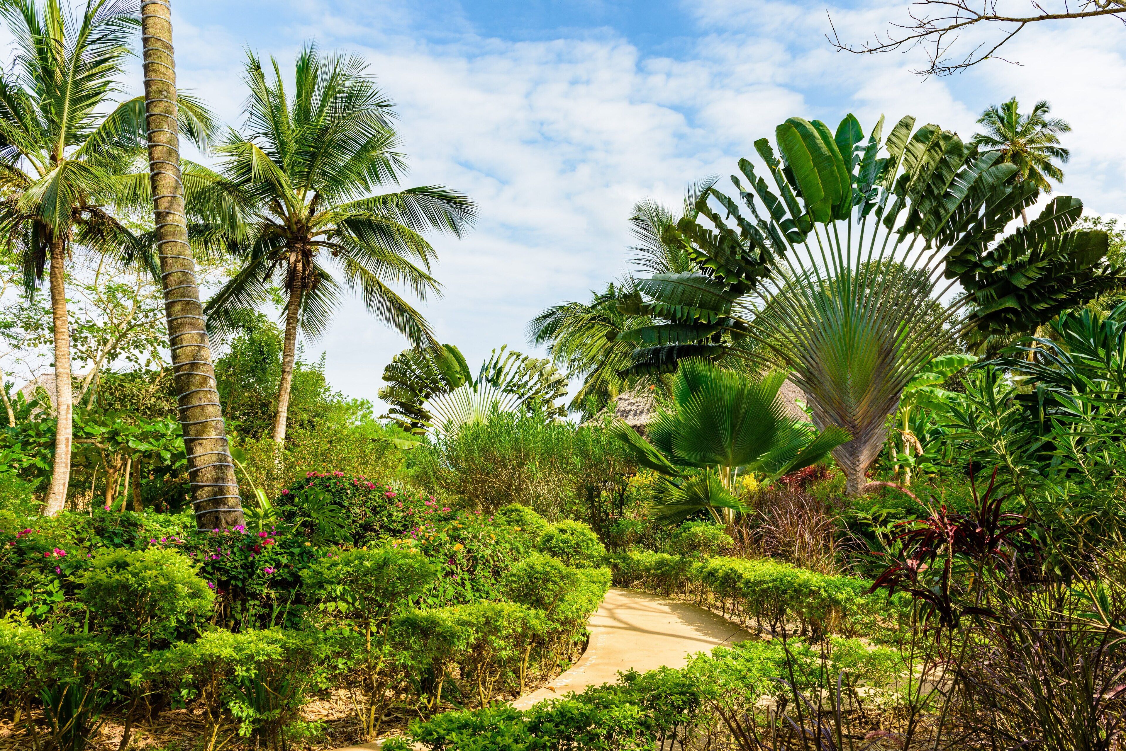 Foto - Zanzi Resort Private Paradise