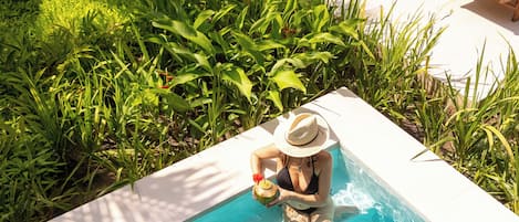 Superior Garden Villa with Plunge Pool | 1 slaapkamer, hypoallergeen beddengoed, een minibar