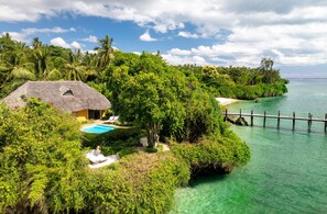 A thatched-roof house with a pool, surrounded by lush greenery and a clear turquoise sea. - Zanzi Resort (Kama)