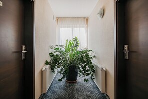 门厅