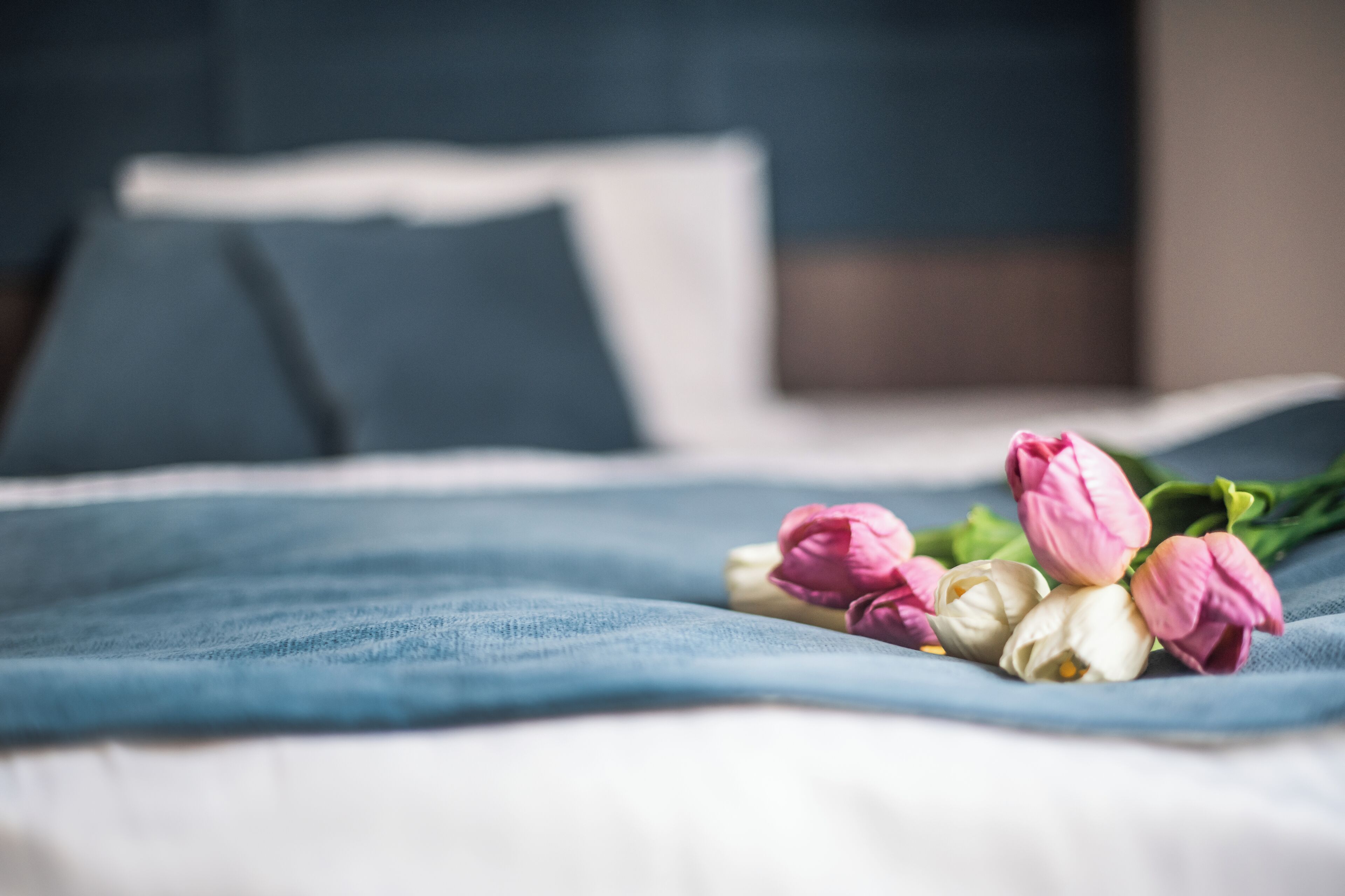 hypo-allergenic bedding, desk, blackout curtains, iron/ironing board