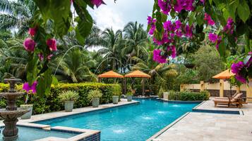 Outdoor pool, sun loungers