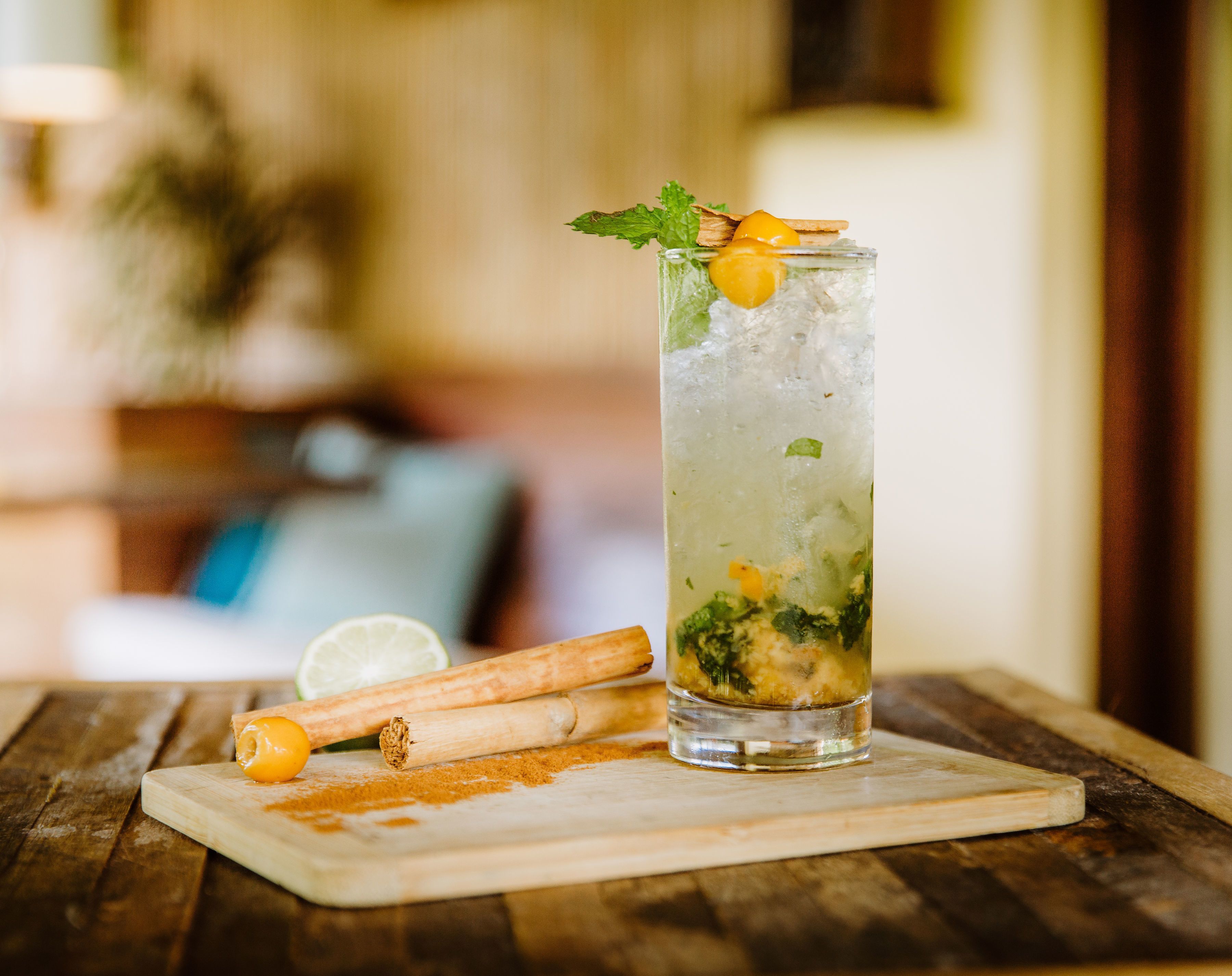 A tall glass of iced drink with mint and a lemon slice, placed on a wooden table with a blurred background.