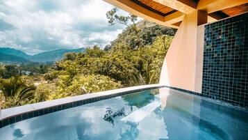 Mountainview Suites | 私人游泳池