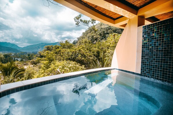 Mountainview Suites | Private pool