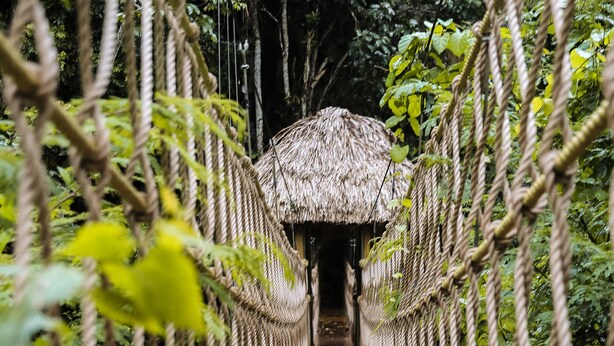 Un puente colgante de madera con barandillas de cuerda, rodeado de exuberante vegetación y una estructura con techo de paja al final.