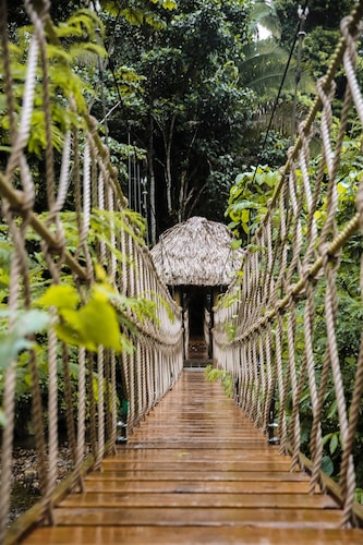 Sleeping Giant Rainforest Lodge