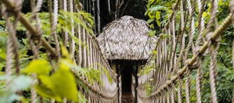 Sleeping Giant Rainforest Lodge