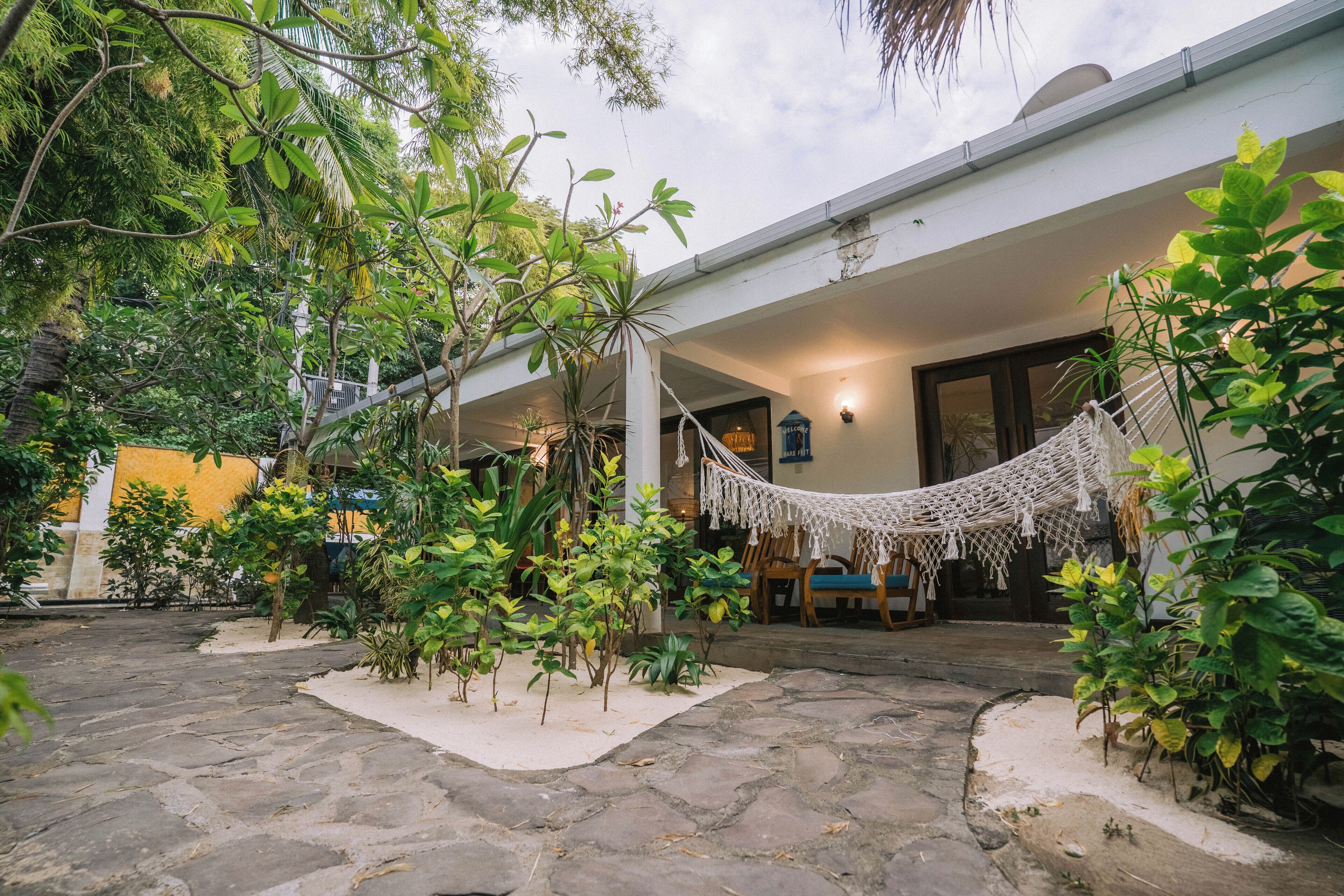 A courtyard with a hammock, potted plants, and a stone pathway leading to a building with a white exterior and a wooden door.