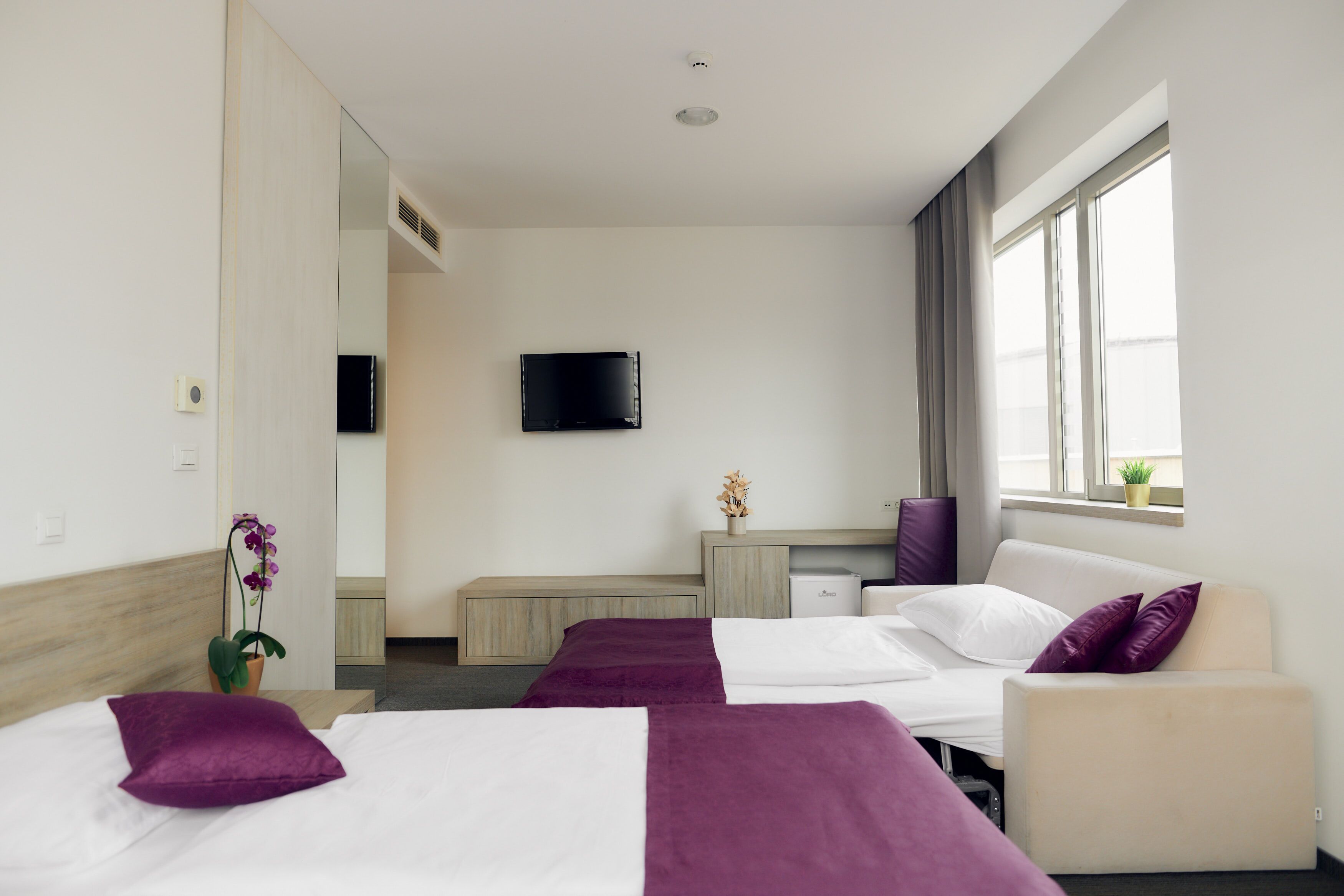 A hotel room with two beds, a desk, a TV, and a window with a plant.