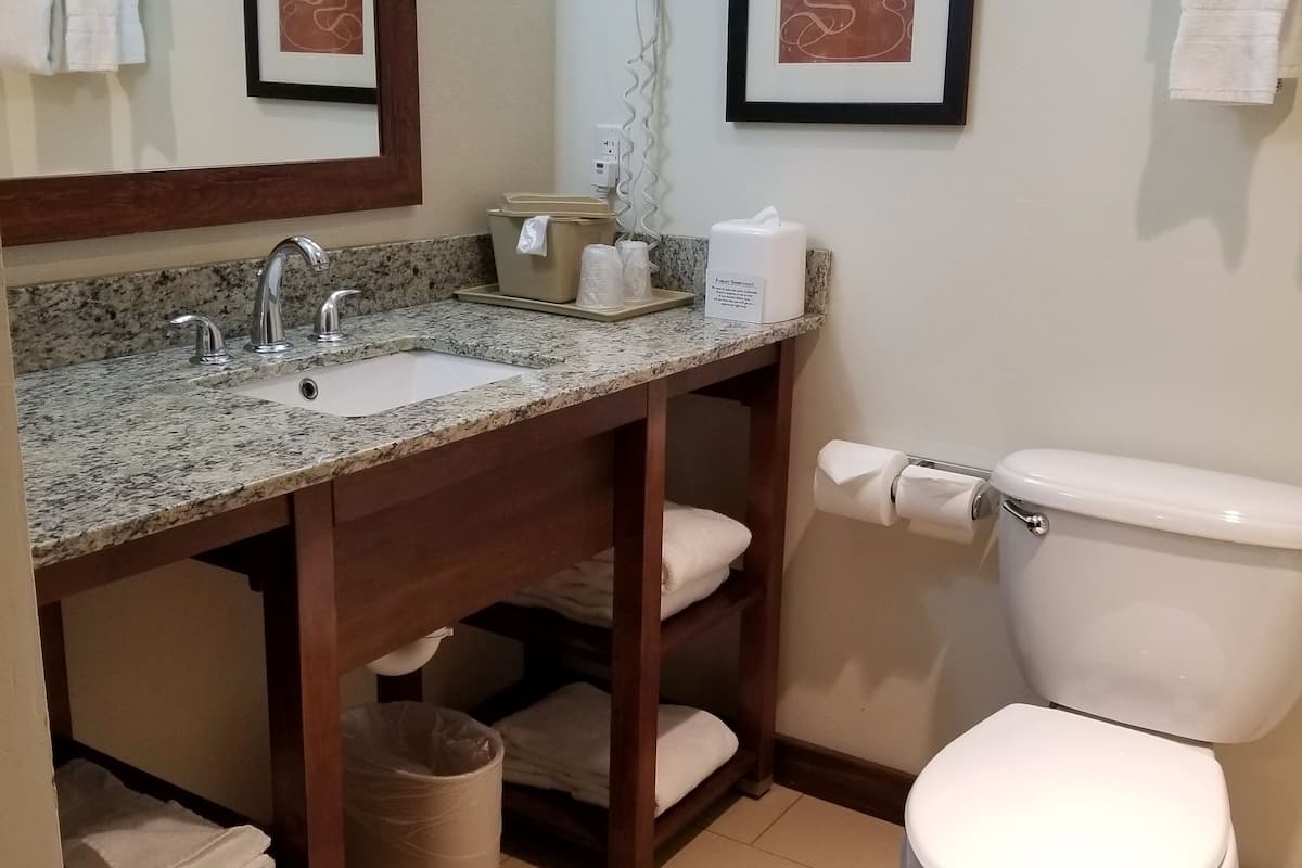 combined shower/bathtub, free toiletries, hair dryer, towels