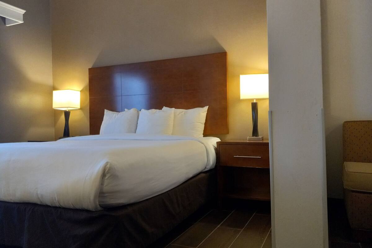 suite, 1 king bed with sofa bed, non smoking (pet friendly) | premium bedding, pillow-top beds, desk, laptop workspace