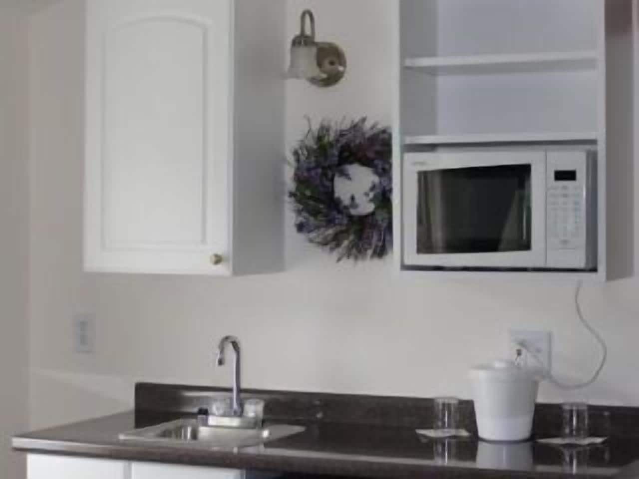 Ψυγείο, φούρνος μικροκυμάτων