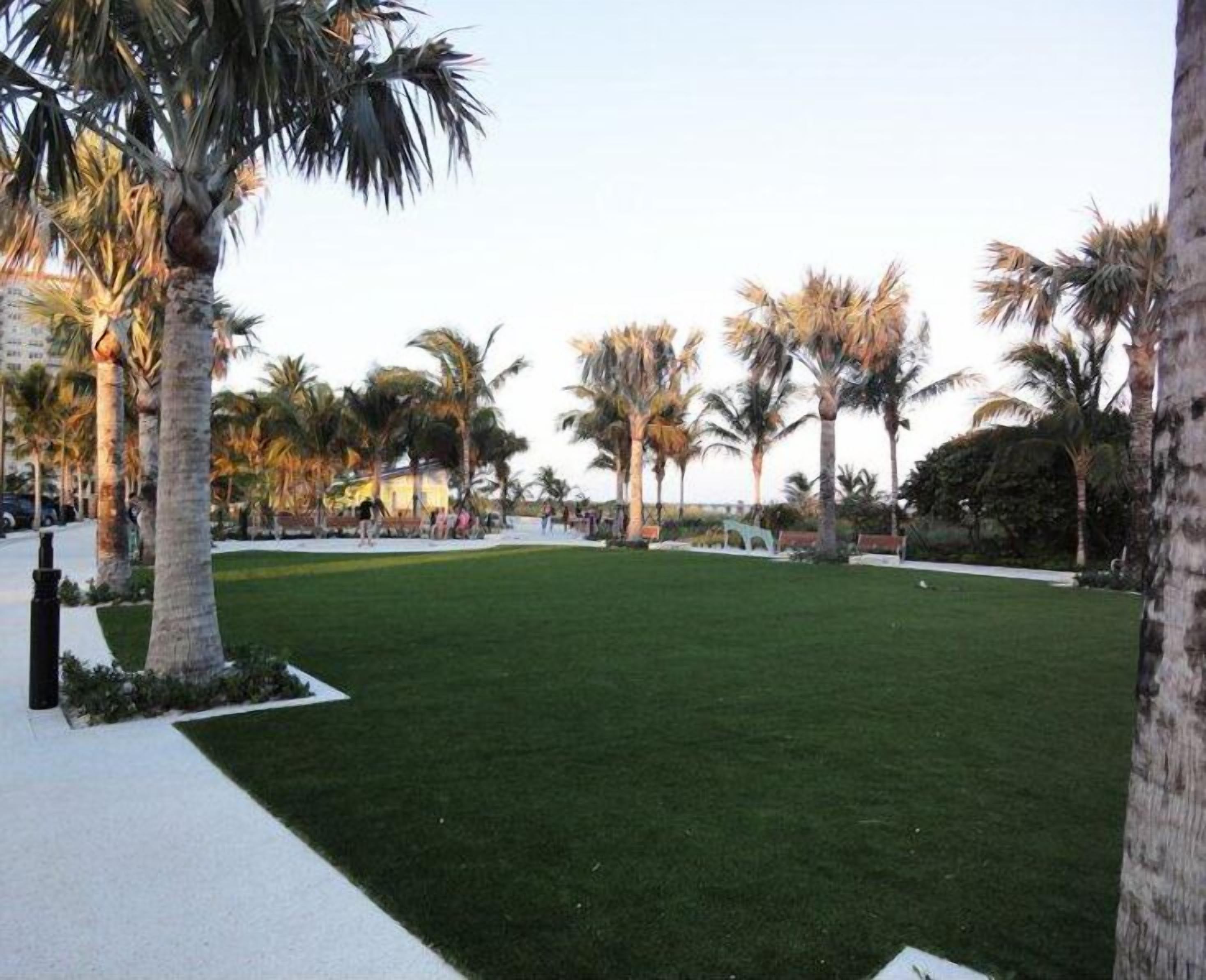 A well-maintained grassy area with palm trees, a pathway, and a building in the background.