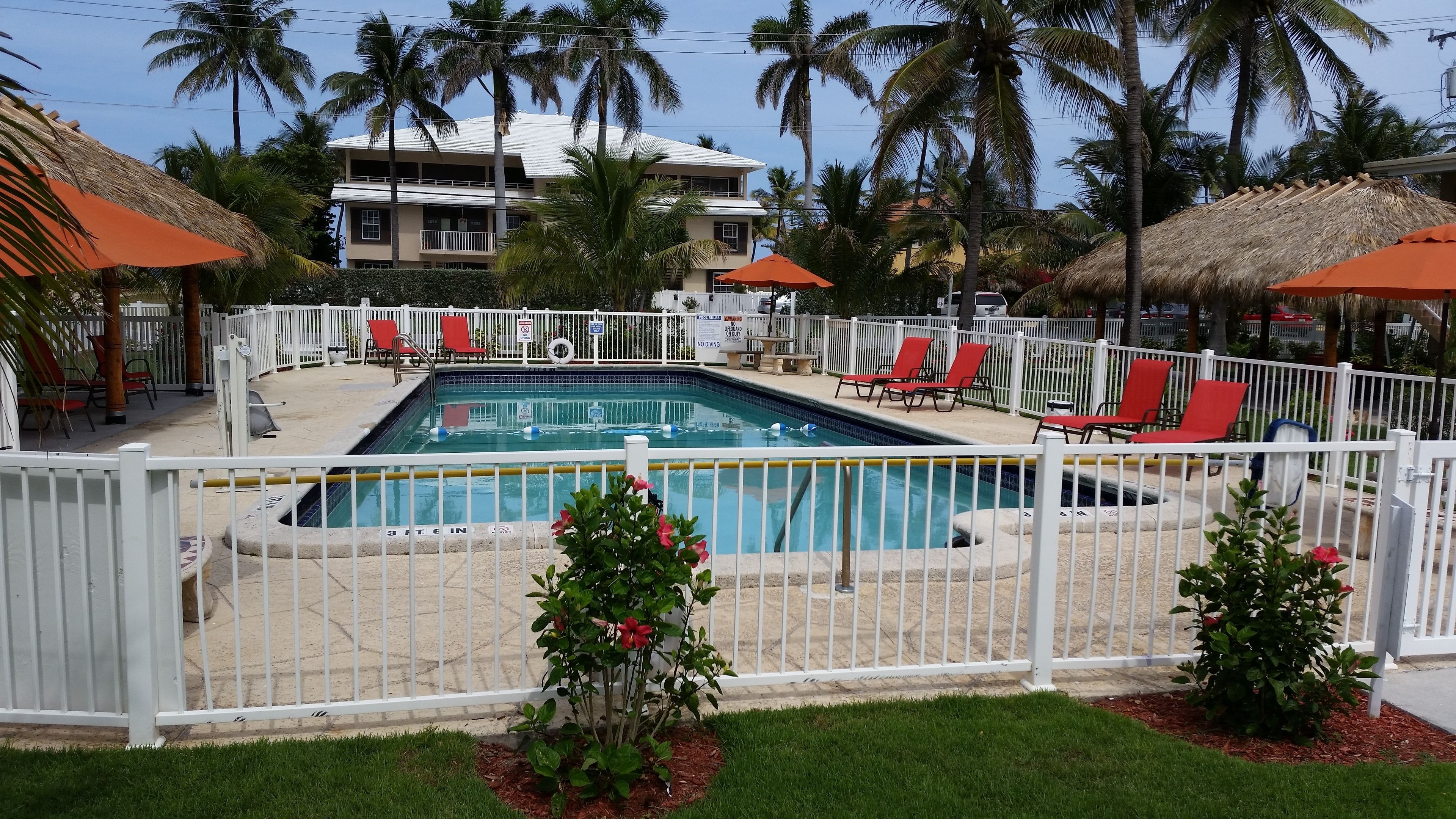 Zona de piscina con piscina cercada, sillas reclinables rojas y palmeras.