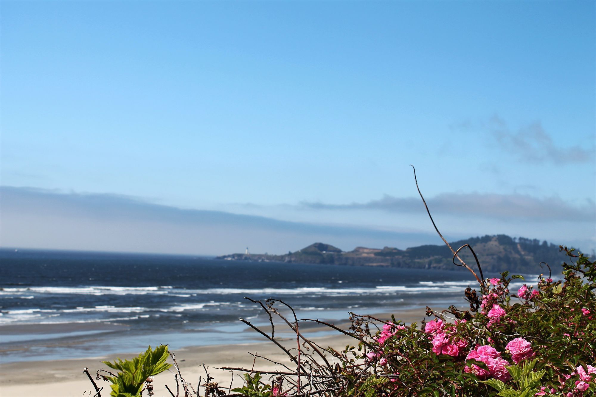 on the beach, white sand