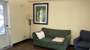 Un salon avec un canapé à motifs verts, un fauteuil bleu et une œuvre d’art encadrée accrochée au mur.