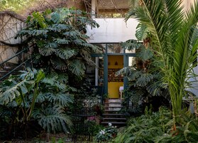 Un exuberante jardín con plantas tropicales grandes, una escalera que conduce a una puerta amarilla y una silla de metal.