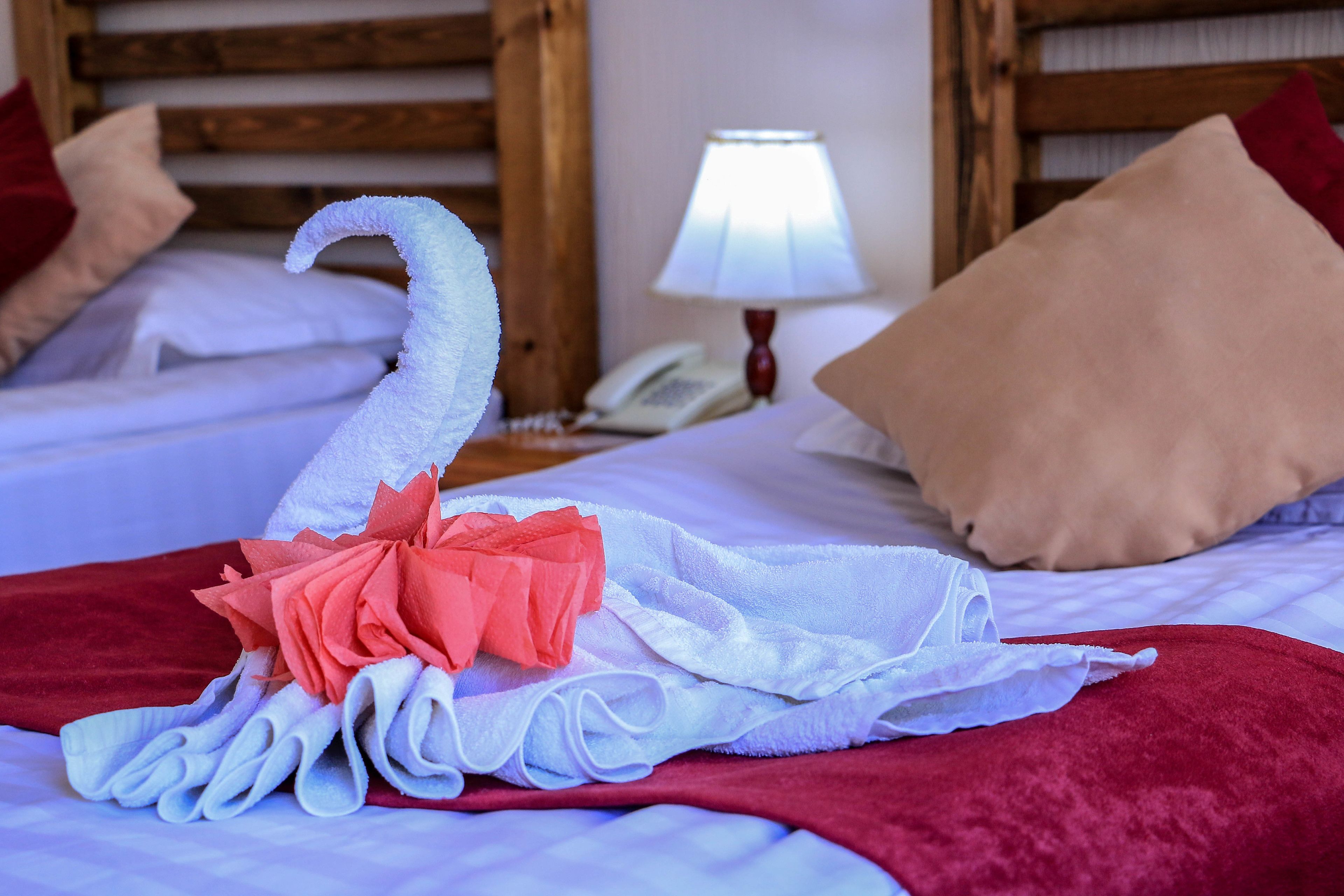 Standard Twin Room | View from room