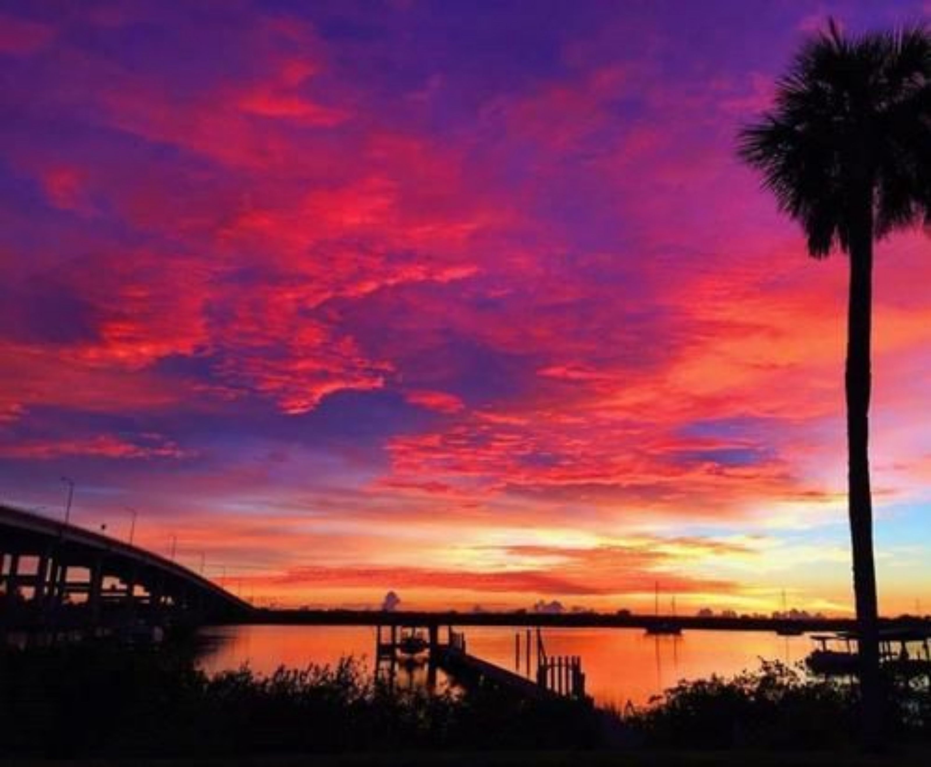 A sunset over a body of water with a bridge and palm trees.