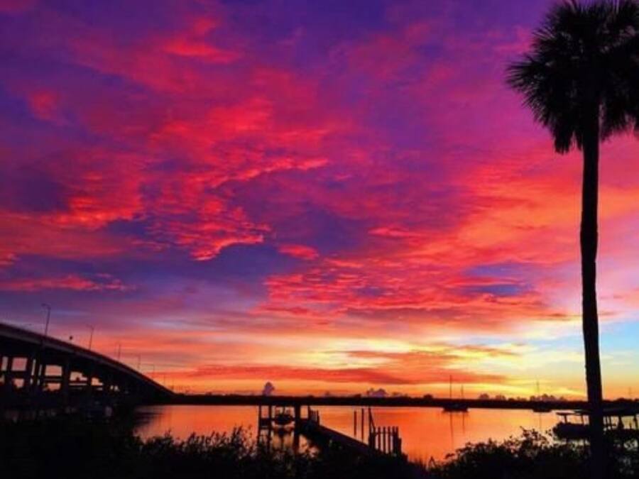 A sunset over a body of water with a bridge and palm trees.
