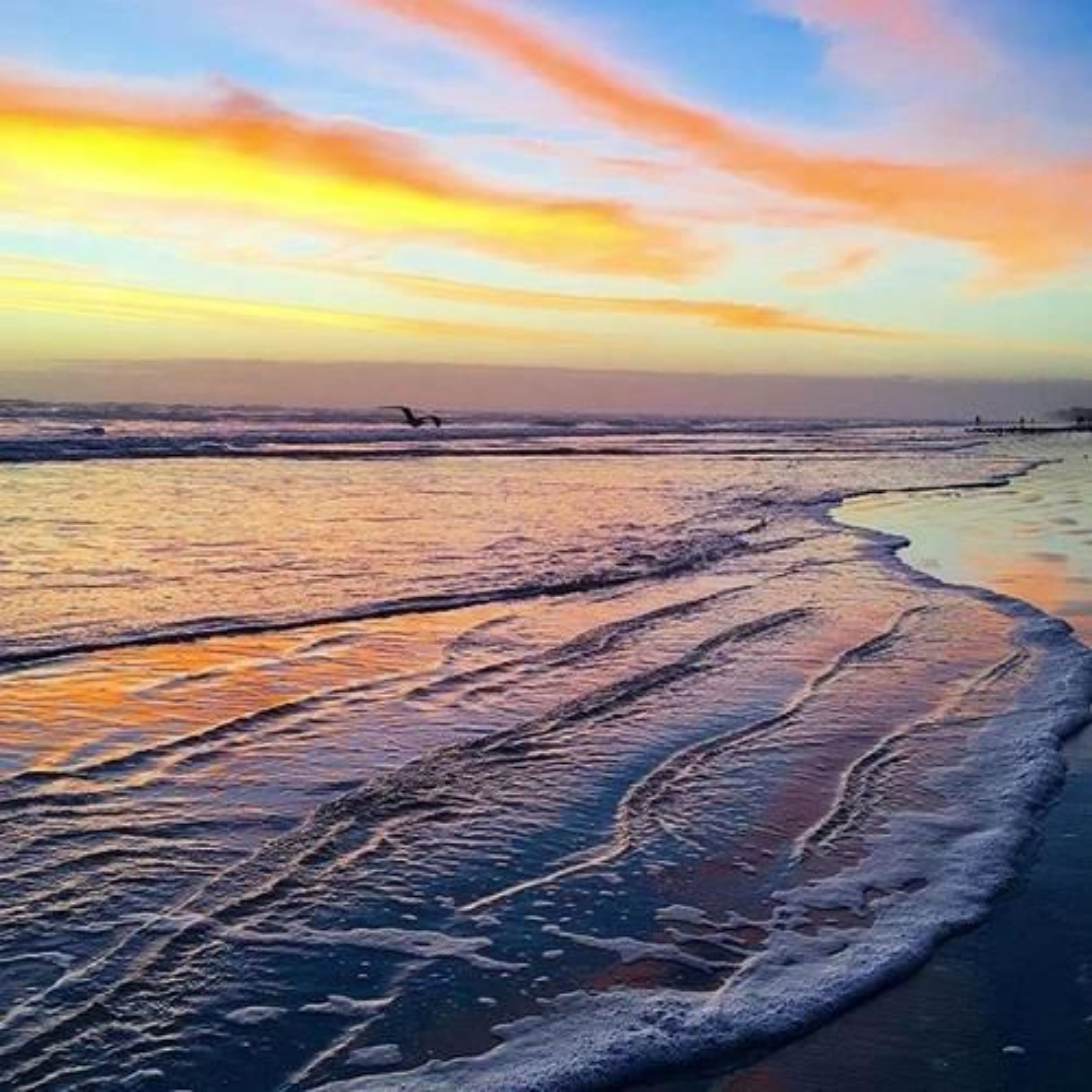 Ghế dài tắm nắng, khăn tắm biển, câu cá 