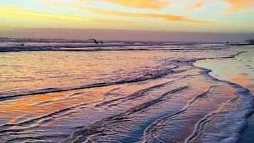 Camastros, toallas de playa y pesca