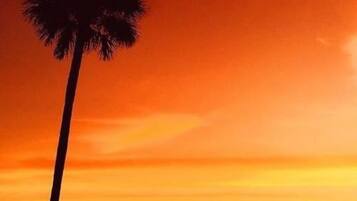A sunset view with a palm tree and a small structure by the water.