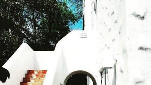 A narrow pathway leading to a building entrance with a brick staircase and white walls. - Black Dolphin Inn (New Smyrna Beach)