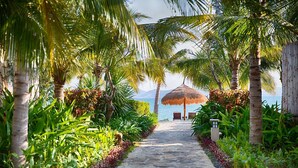 A pathway lined with palm trees leading to a beach area with a thatched umbrella and seating. - Amiana Resort Nha Trang (Bac Nha Trang)