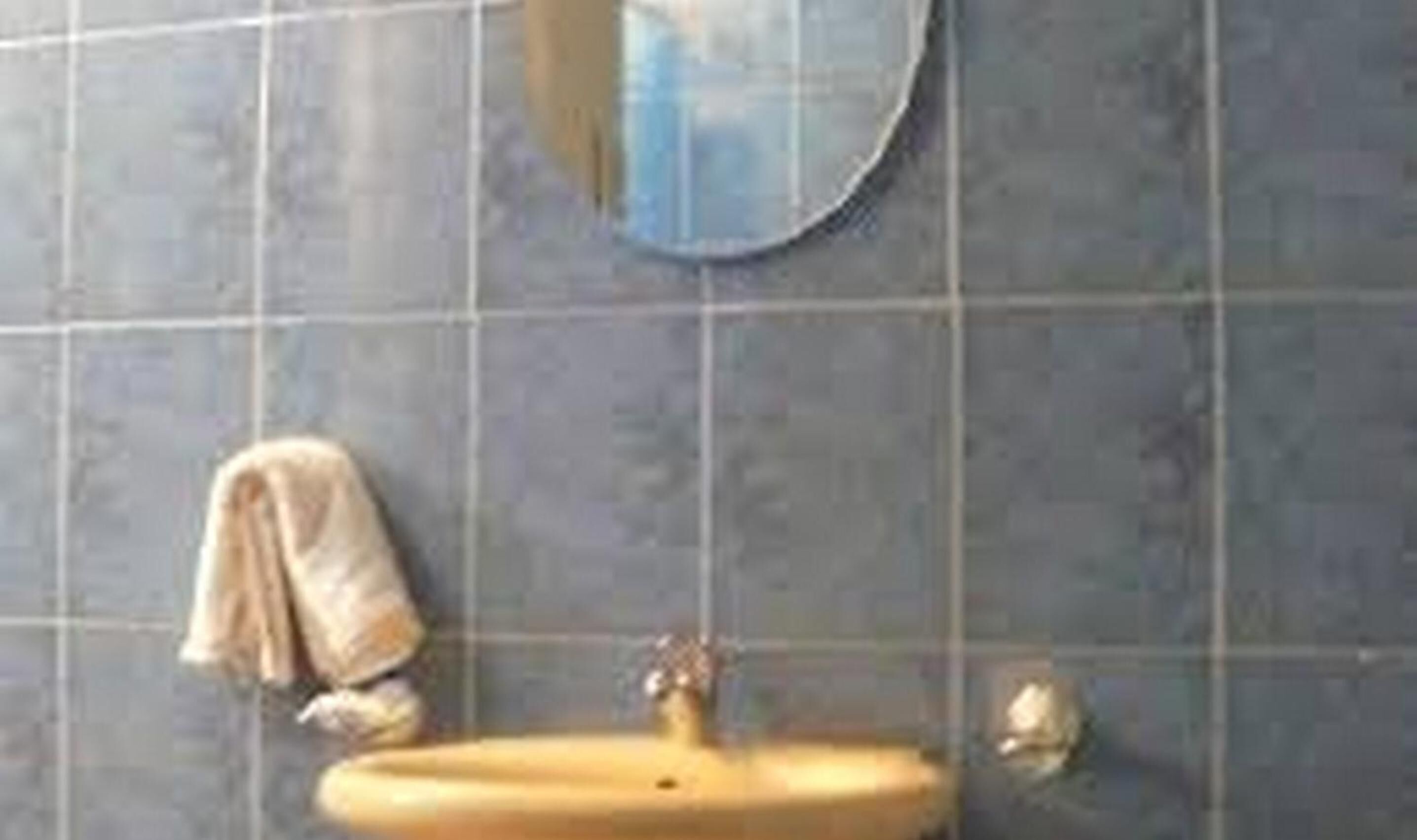 combined shower/bathtub, free toiletries, hair dryer, towels