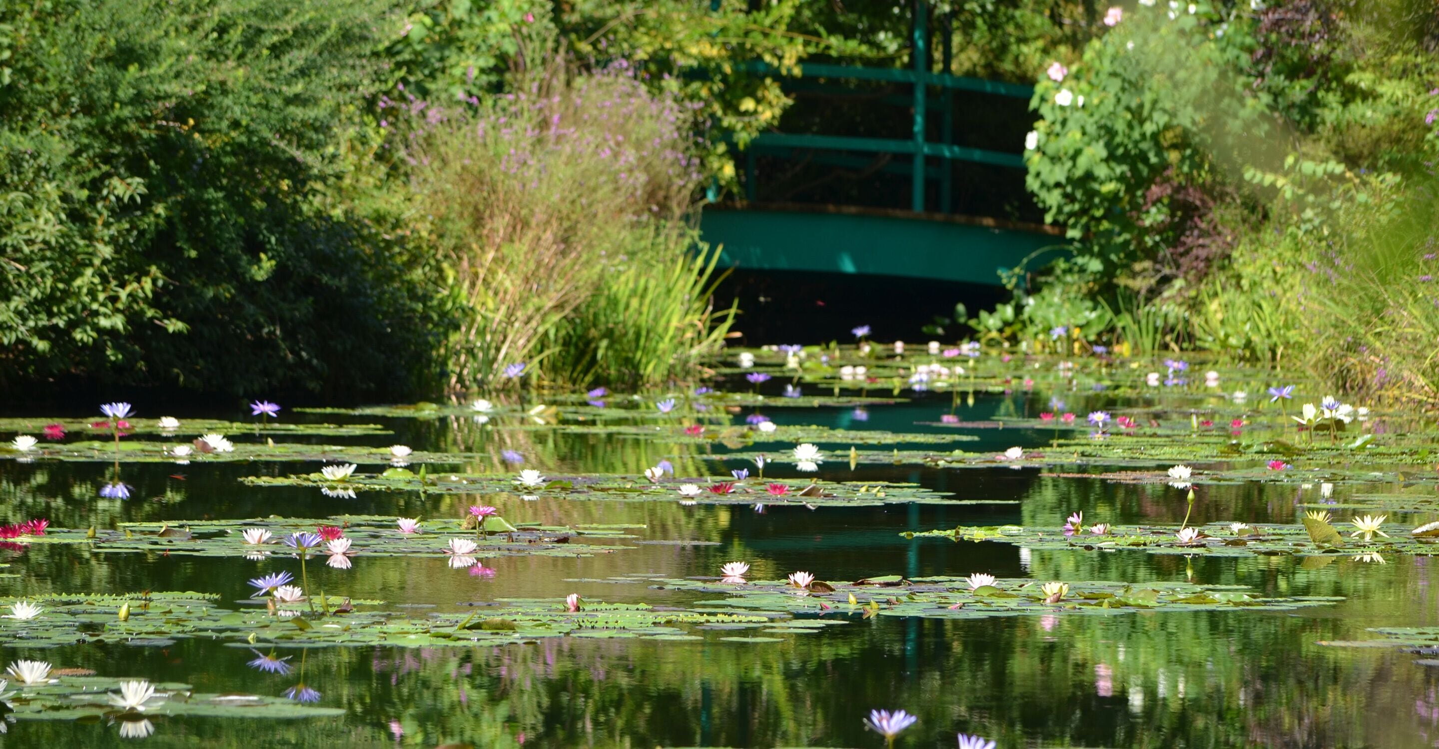 land view from property