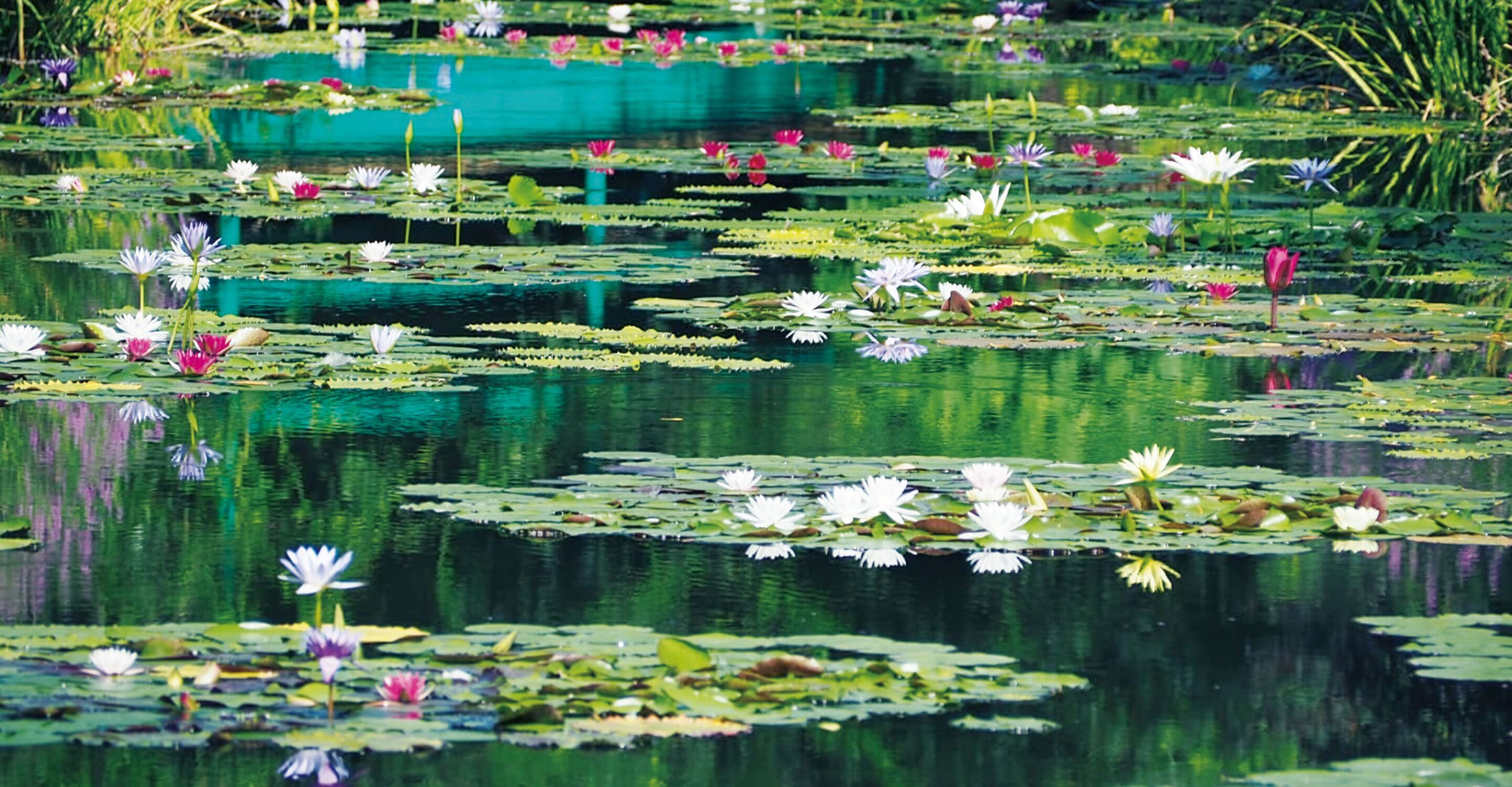 land view from property