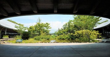 Vistas al campo desde el alojamiento