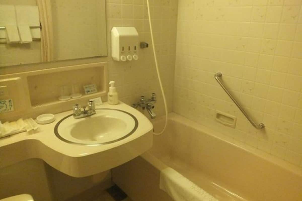 combined shower/bathtub, free toiletries, hair dryer, slippers