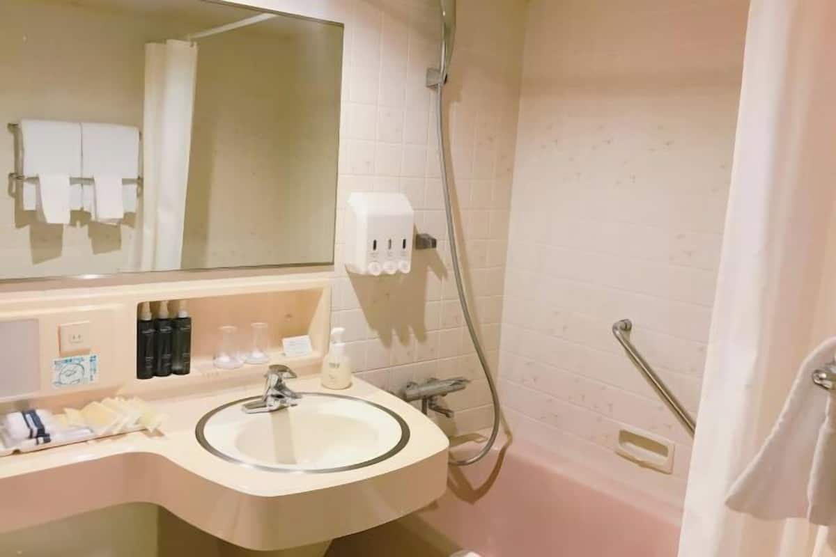 Combined shower/tub, free toiletries, hair dryer, slippers