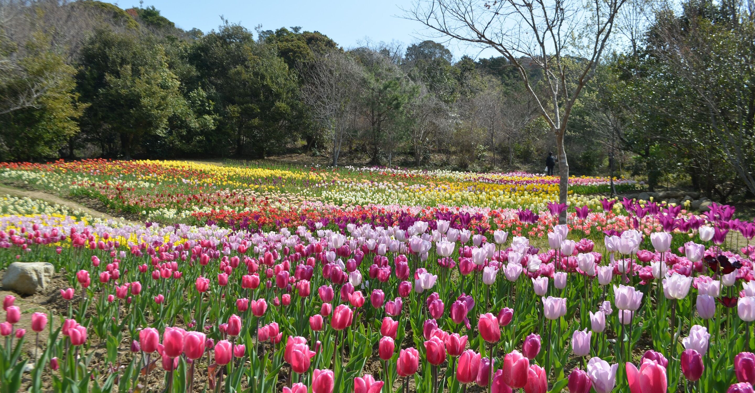 land view from property